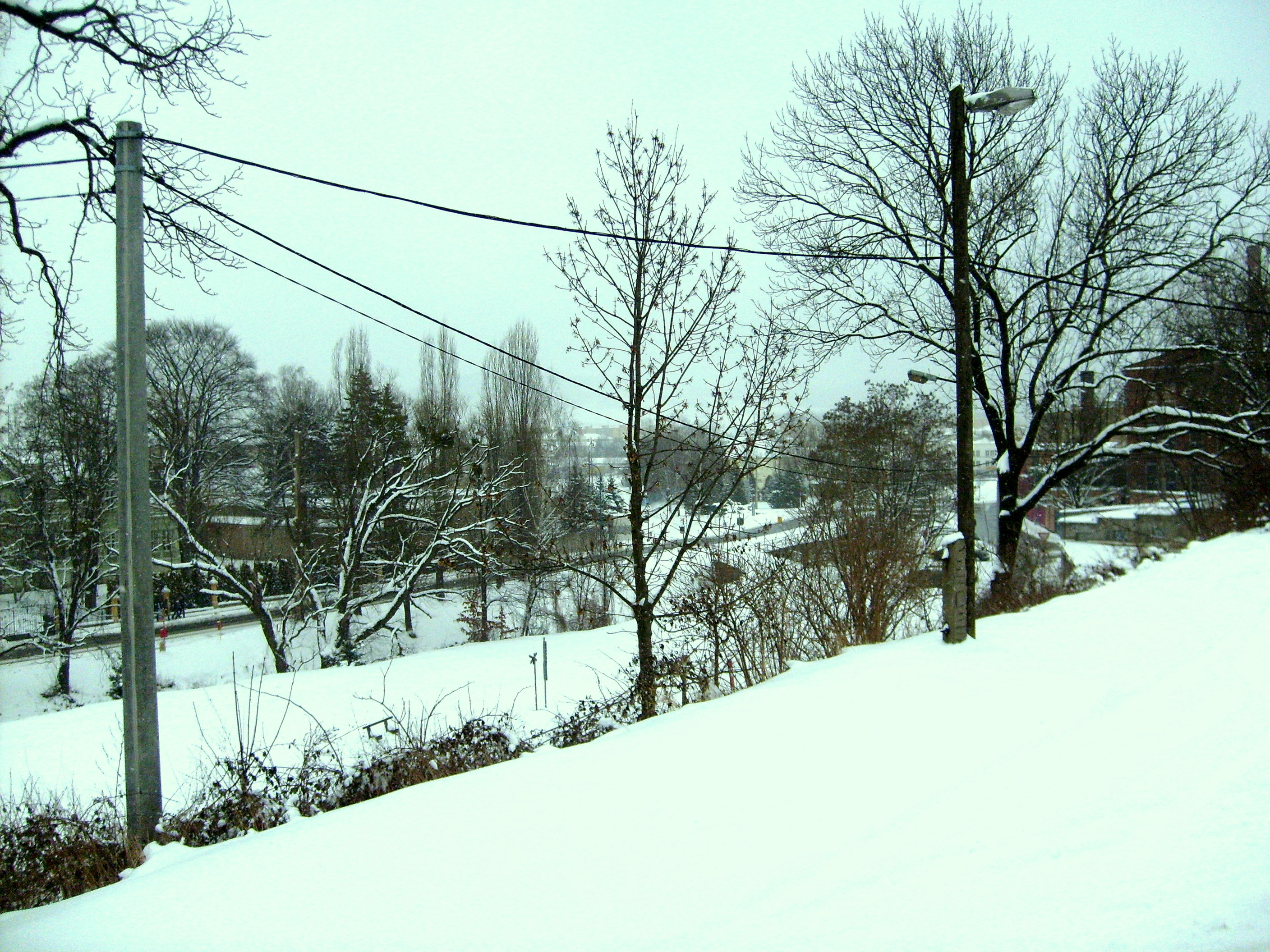 Okoli 2009 019.jpg